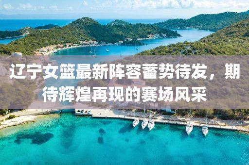 辽宁女篮最新阵容蓄势待发，期待辉煌再现的赛场风采