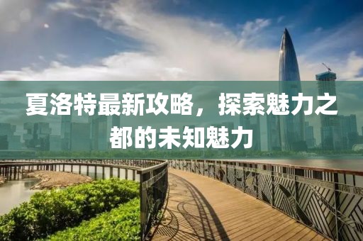 夏洛特最新攻略，探索魅力之都的未知魅力