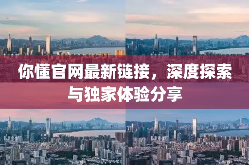 你懂官网最新链接，深度探索与独家体验分享