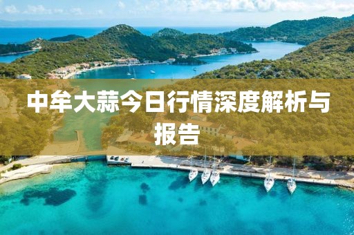 中牟大蒜今日行情深度解析与报告
