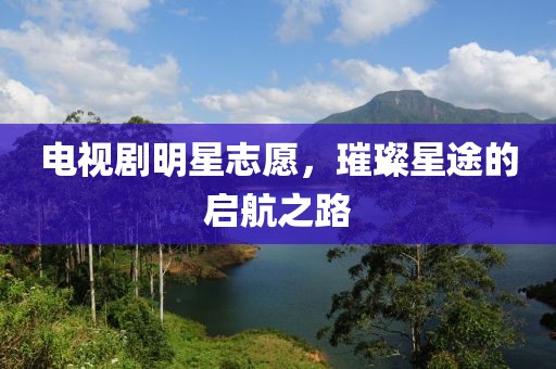 电视剧明星志愿，璀璨星途的启航之路