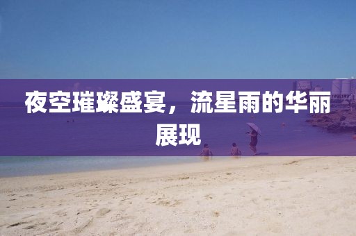 夜空璀璨盛宴，流星雨的华丽展现