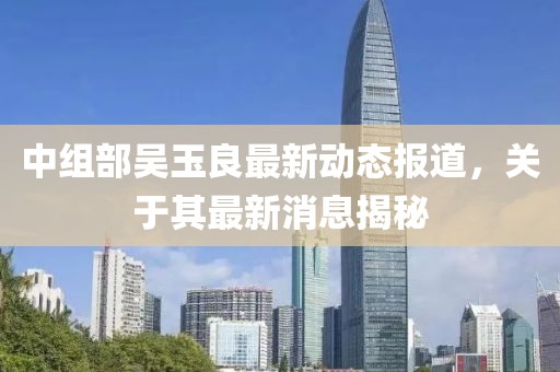 中组部吴玉良最新动态报道，关于其最新消息揭秘