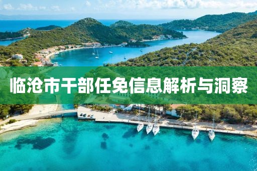 临沧市干部任免信息解析与洞察