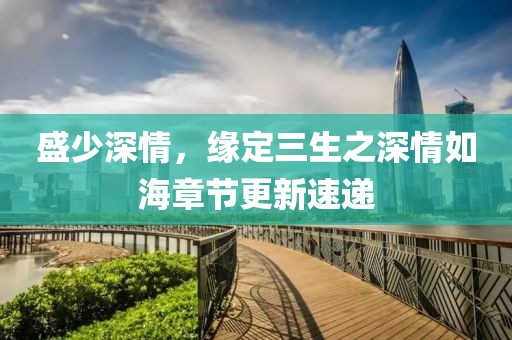 盛少深情，缘定三生之深情如海章节更新速递