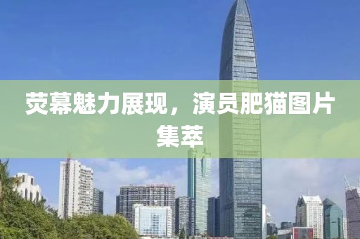 荧幕魅力展现，演员肥猫图片集萃