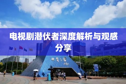 电视剧潜伏者深度解析与观感分享