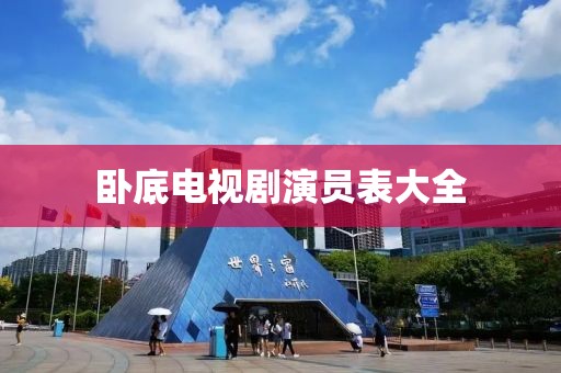 卧底电视剧演员表大全