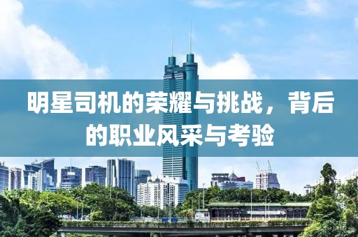 明星司机的荣耀与挑战，背后的职业风采与考验