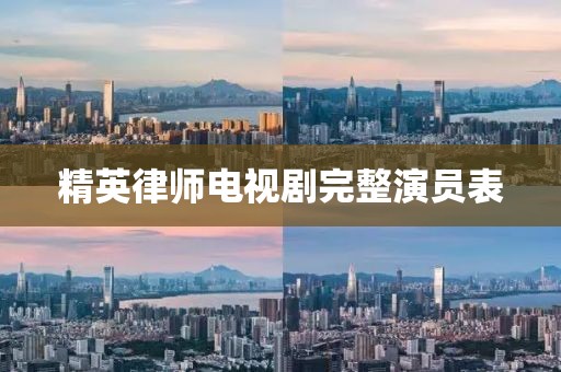 精英律师电视剧完整演员表
