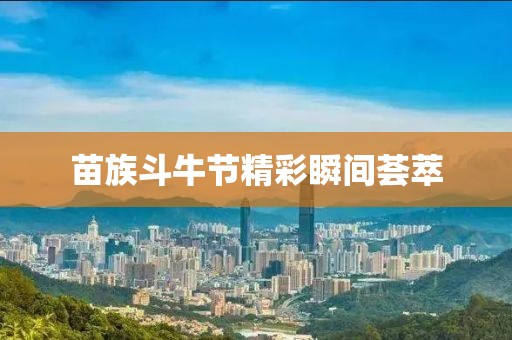 苗族斗牛节精彩瞬间荟萃