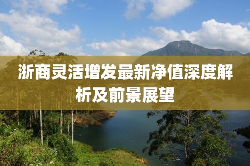 浙商灵活增发最新净值深度解析及前景展望