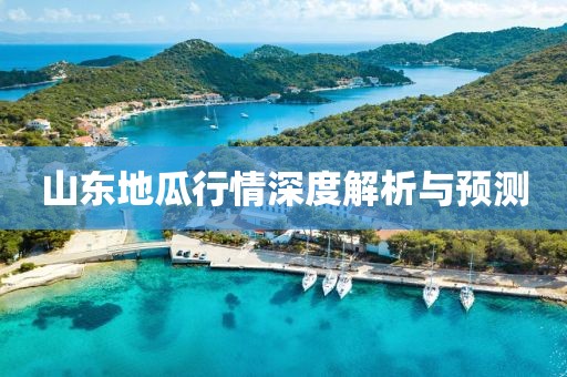 山东地瓜行情深度解析与预测