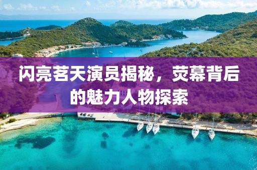 闪亮茗天演员揭秘，荧幕背后的魅力人物探索
