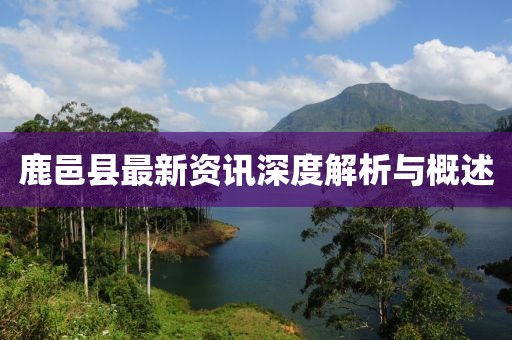 鹿邑县最新资讯深度解析与概述
