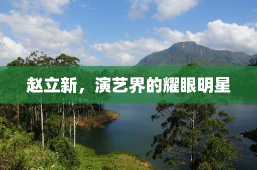 赵立新，演艺界的耀眼明星