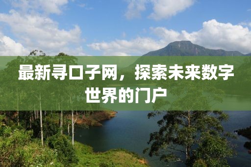 最新寻口子网，探索未来数字世界的门户