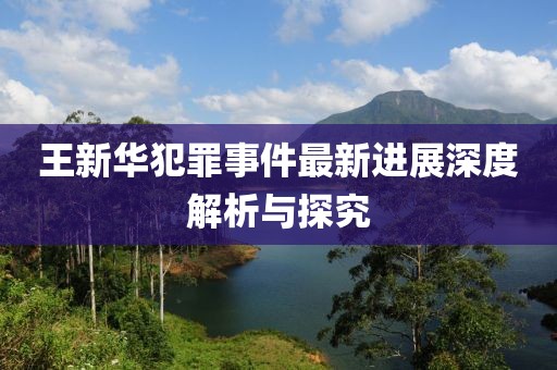 王新华犯罪事件最新进展深度解析与探究