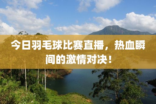 今日羽毛球比赛直播，热血瞬间的激情对决！