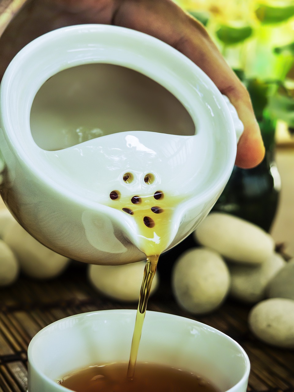 中华茶博城最新资讯，茶文化繁荣与发展动态速递