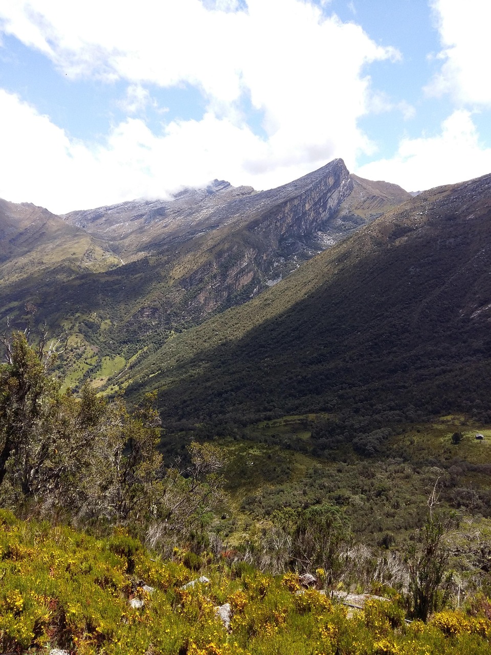 登山比赛，攀登高峰，荣耀称号，激情四溢的挑战之旅！