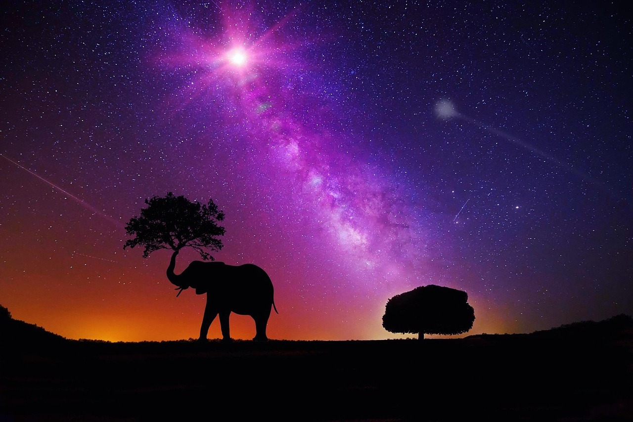 璀璨娱乐圈群星闪耀，知名明星大盘点