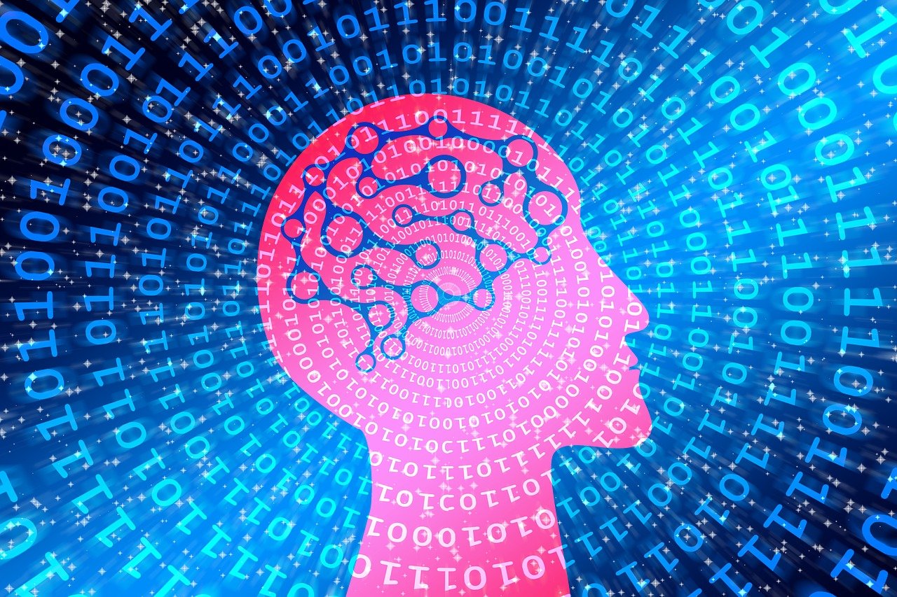 探索数字时代的无尽资源宝库，最新天堂资源网全攻略