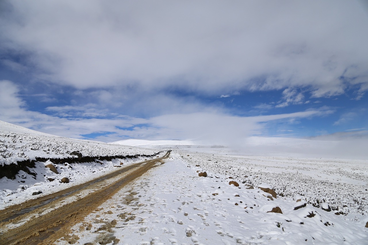 川西雪域高原的冬日魅力，最新下雪景象欣赏