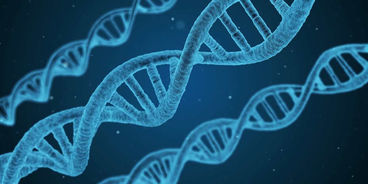 中纪委各室分工及职能概述最新信息