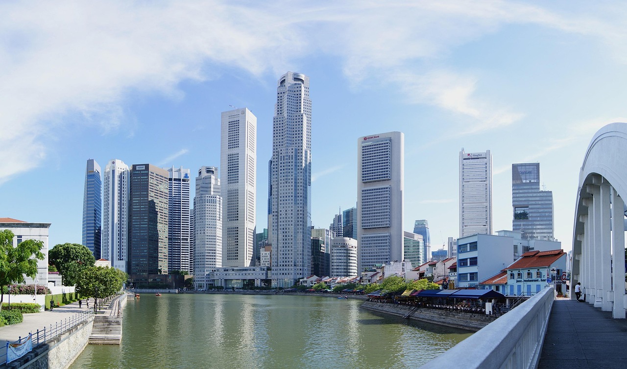 白沙洲行情概览，市场趋势与未来发展前景分析