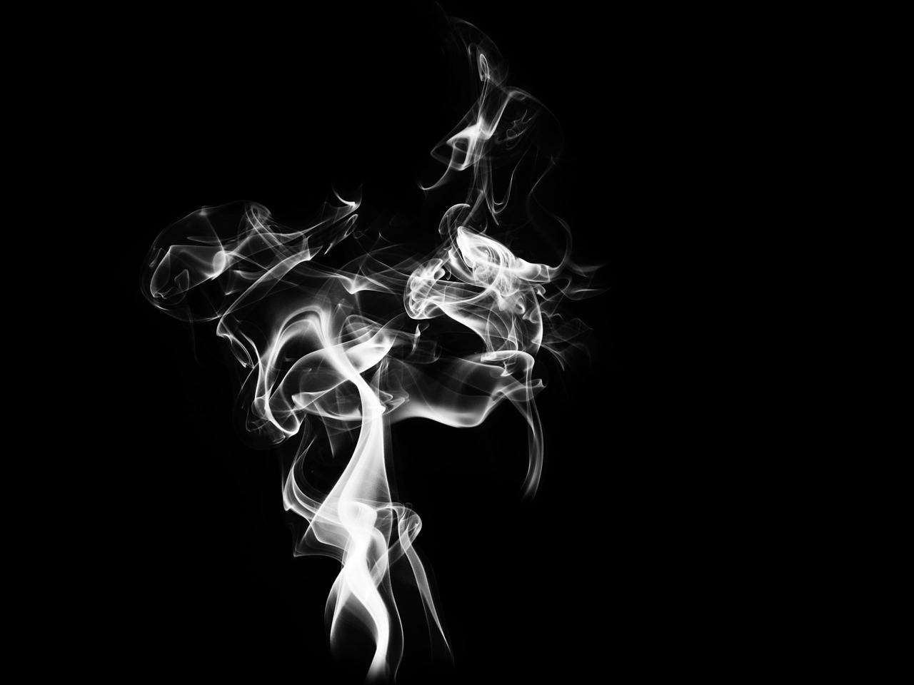 全球最新影片，探索电影艺术的魅力与创新前沿