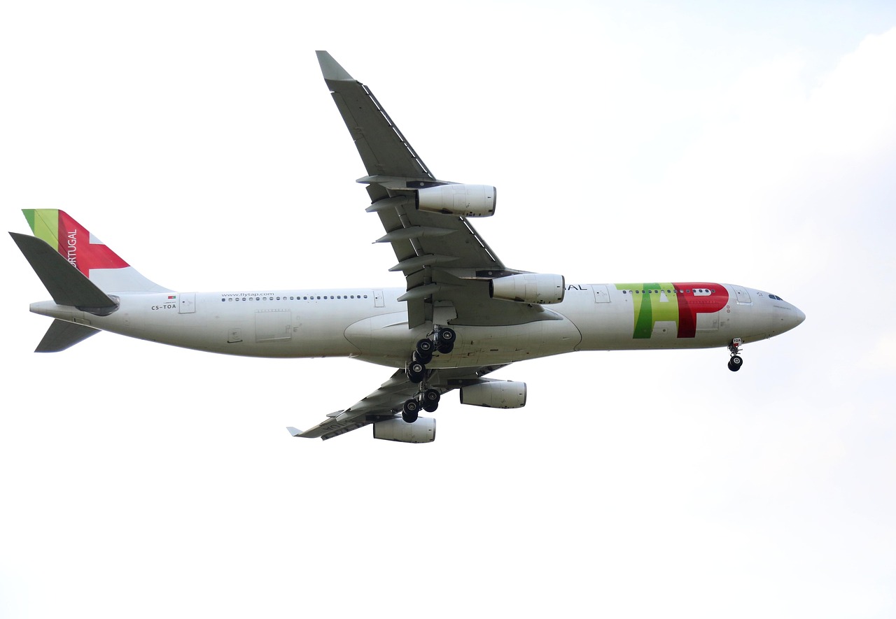 揭秘航空业龙头股票及投资指南，航空股票投资必备知识！